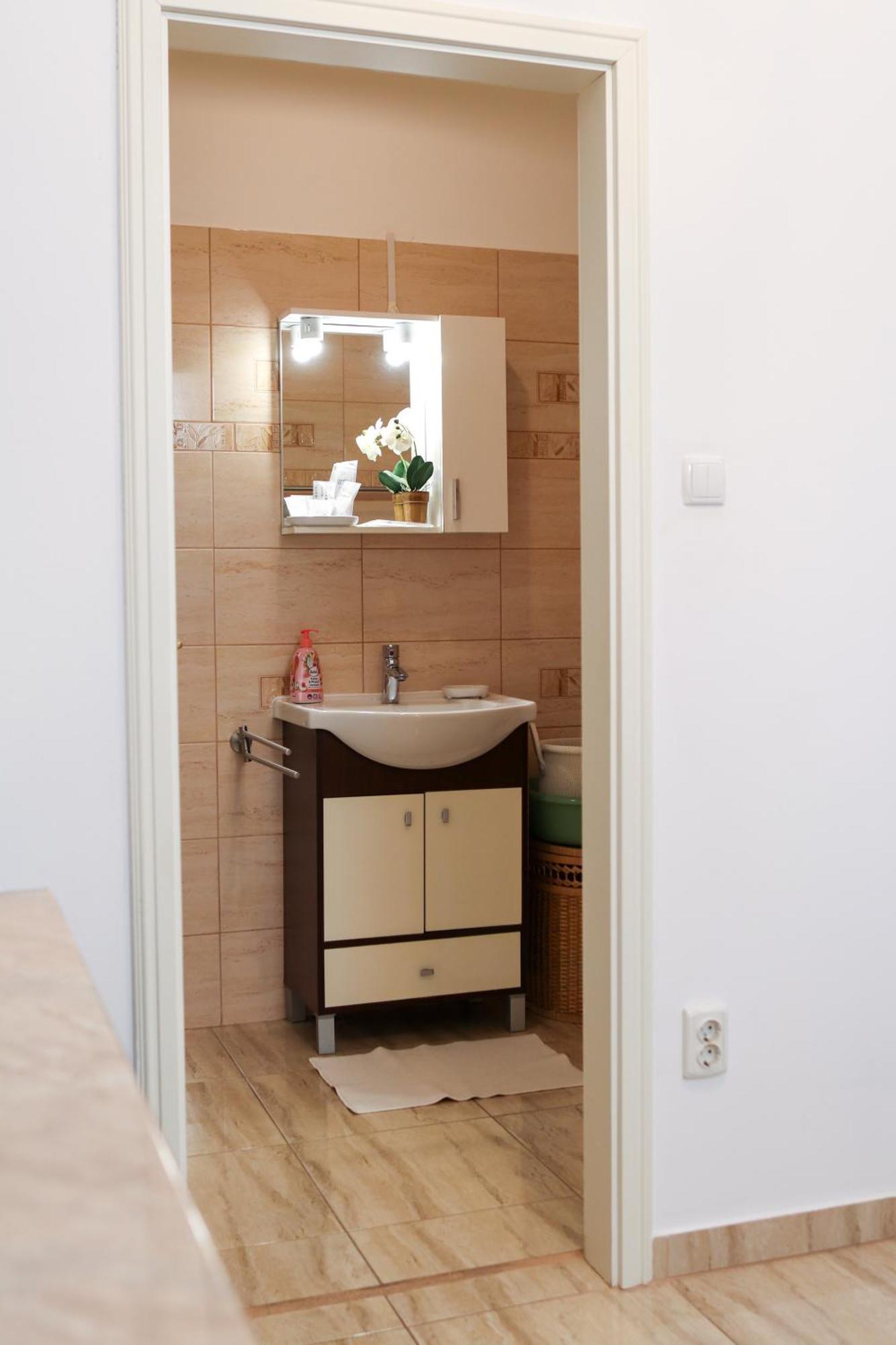 Neuhausz Residenz Ultra-Central Apartment Тимишоара Экстерьер фото