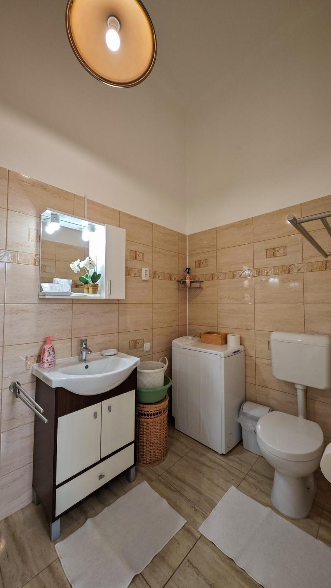 Neuhausz Residenz Ultra-Central Apartment Тимишоара Экстерьер фото